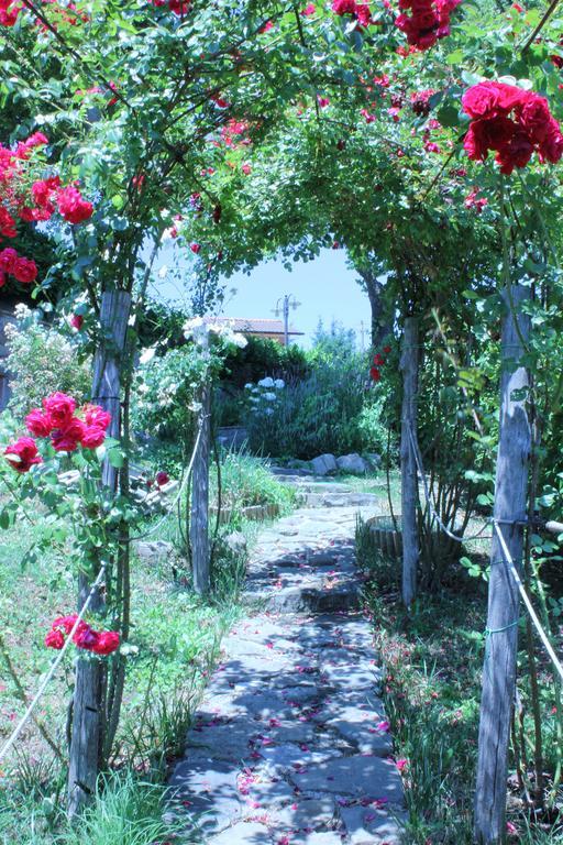 Locanda Zacco Marliana Εξωτερικό φωτογραφία